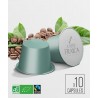 Capsules compostables x10 compatible Nespresso