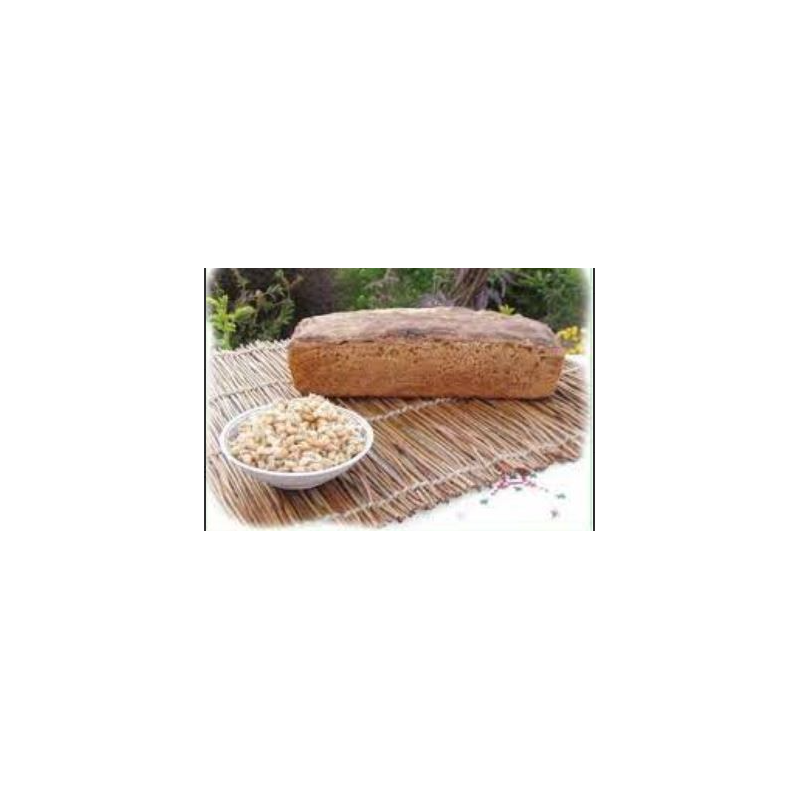 Pain blé germé moulé Bio 500g