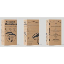 Kit de culture de pleurotes