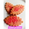 Sablé aux éclats de praline (sachet 150gr)