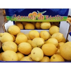 Cagette 6kg Citron BIO de Sicile