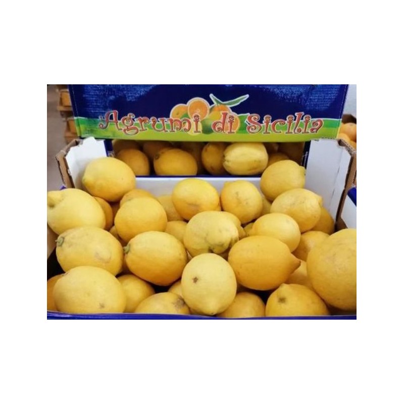 Cagette 6kg Citron BIO de Sicile