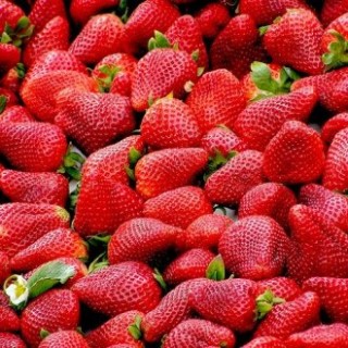 Fraises Cléry (la barquette de 500 gr)