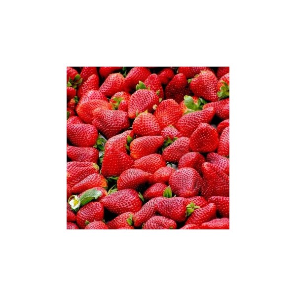 Fraises Cléry (la barquette de 500 gr)